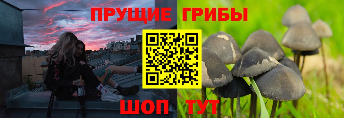 Ханты-Мансийск  Галлюциногенные грибы Magic Shrooms  Вход с VPN 